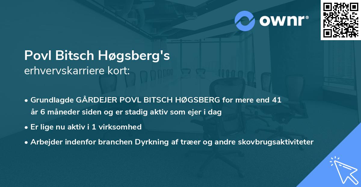 Povl Bitsch Høgsberg's erhvervskarriere kort
