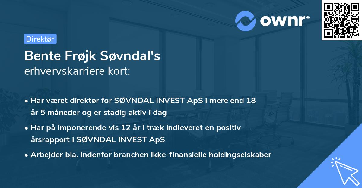 Bente Frøjk Søvndal's erhvervskarriere kort