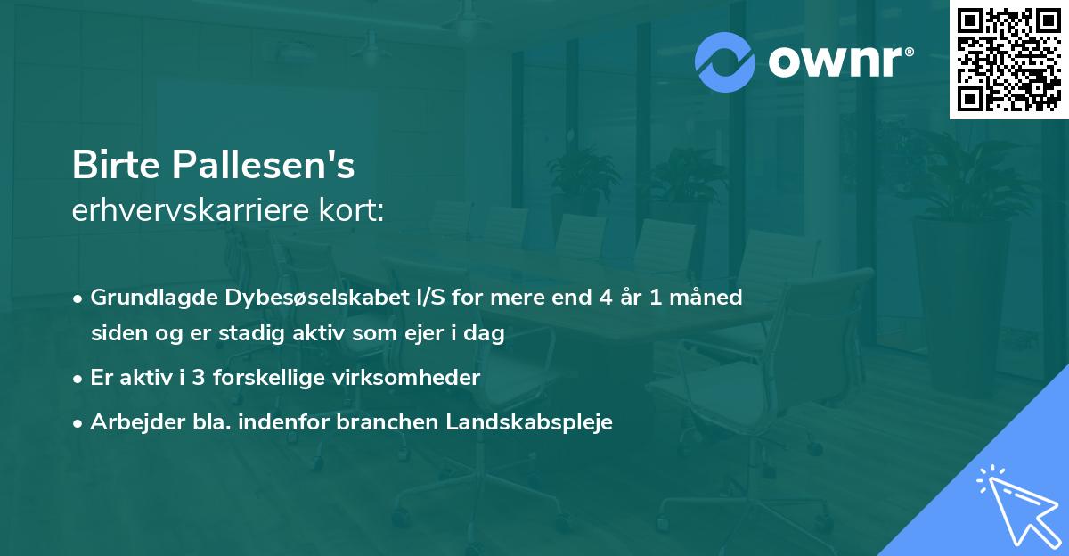 Birte Pallesen's erhvervskarriere kort