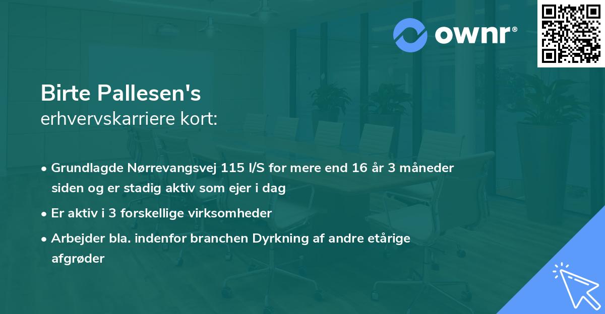 Birte Pallesen's erhvervskarriere kort