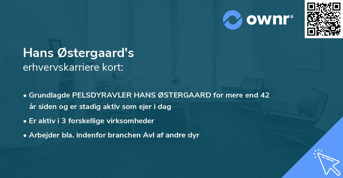 Hans Østergaard's erhvervskarriere kort