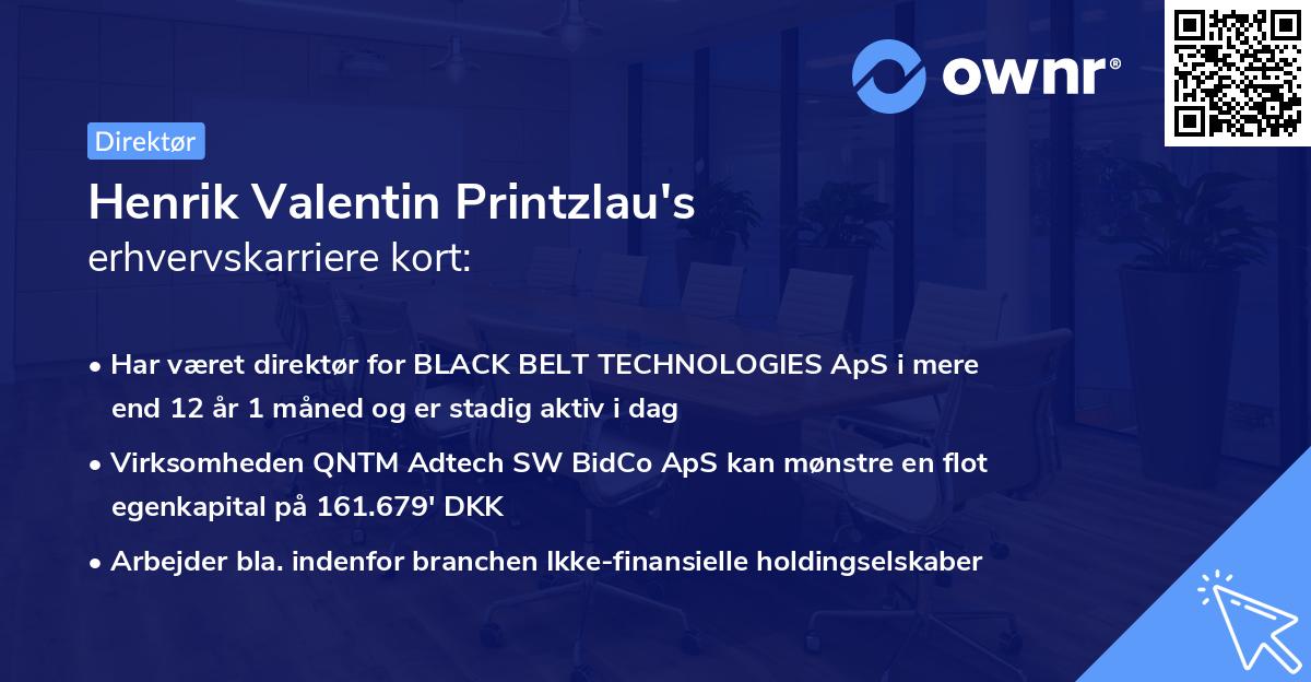 Henrik Valentin Printzlau's erhvervskarriere kort
