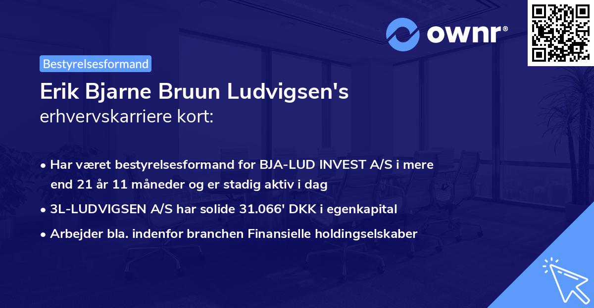 Erik Bjarne Bruun Ludvigsen's erhvervskarriere kort