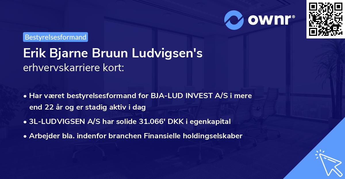 Erik Bjarne Bruun Ludvigsen's erhvervskarriere kort