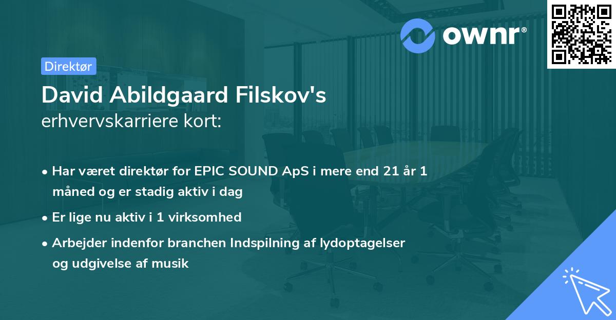 David Abildgaard Filskov's erhvervskarriere kort