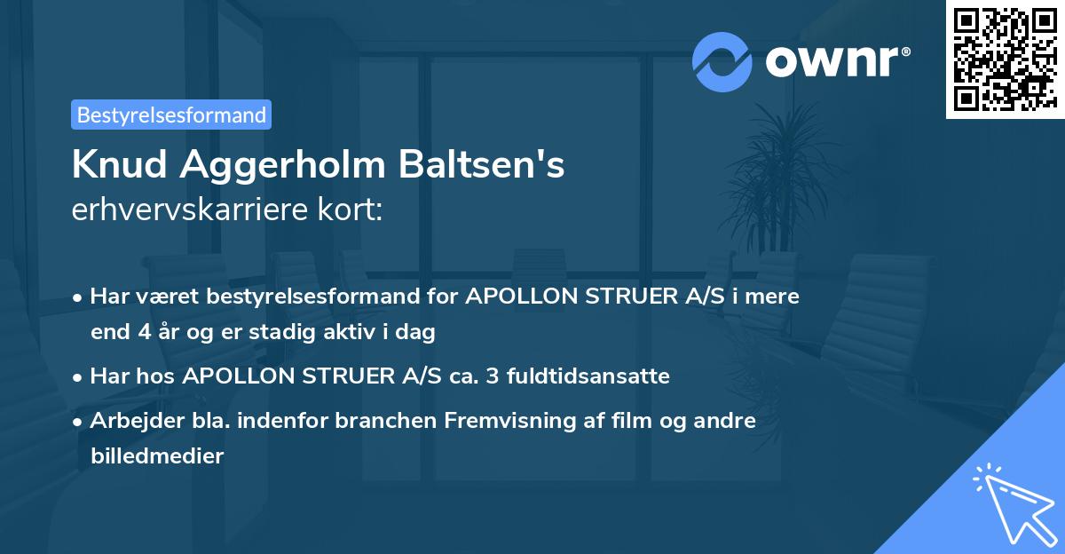 Knud Aggerholm Baltsen's erhvervskarriere kort