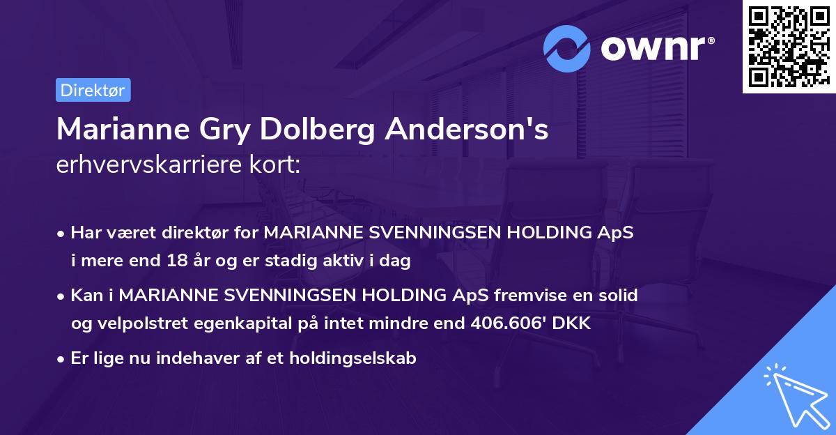 Marianne Gry Dolberg Anderson's erhvervskarriere kort