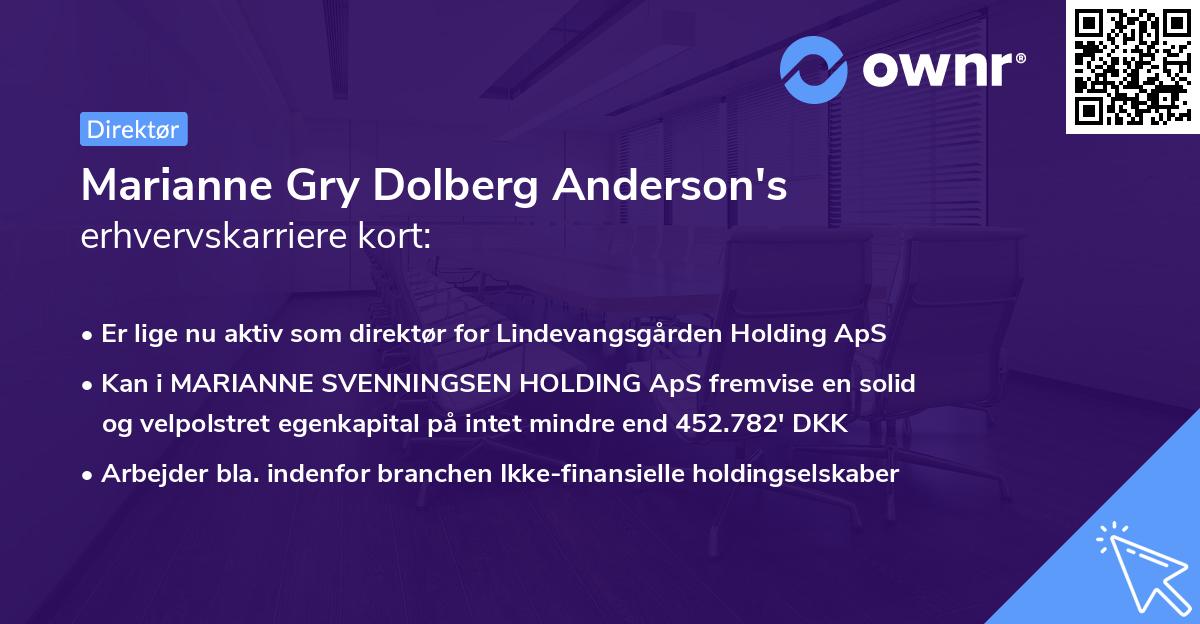 Marianne Gry Dolberg Anderson's erhvervskarriere kort