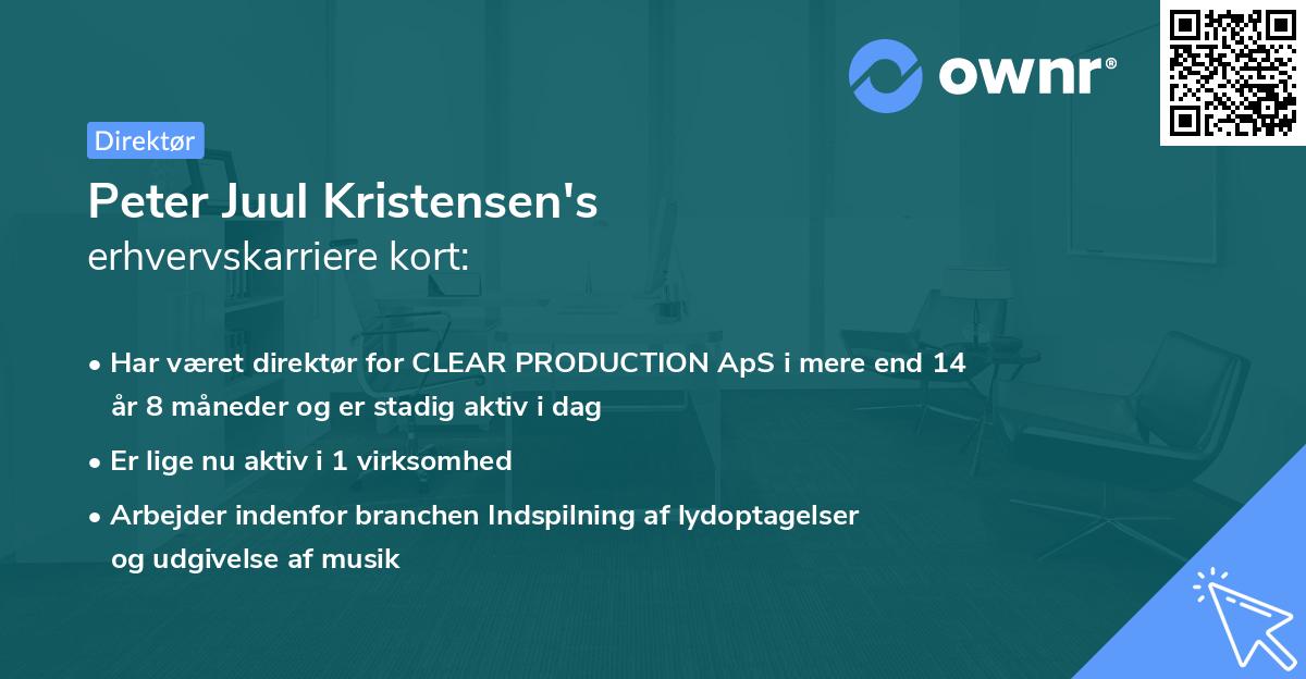 Peter Juul Kristensen's erhvervskarriere kort