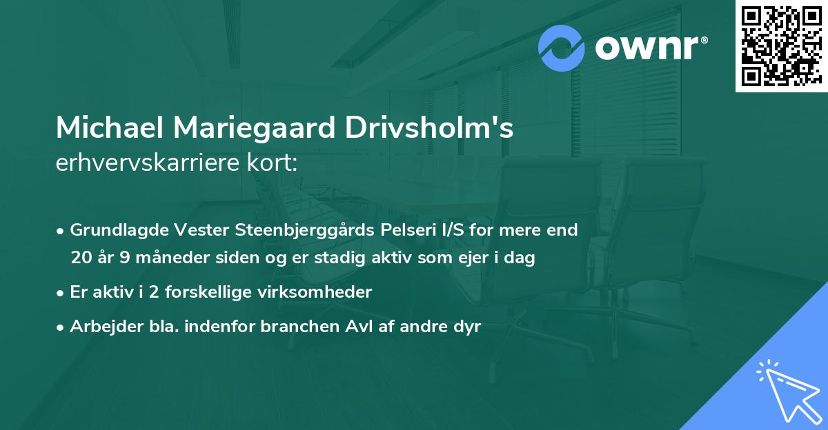 Michael Mariegaard Drivsholm's erhvervskarriere kort