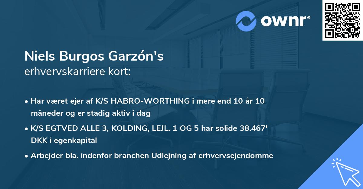 Niels Burgos Garzón's erhvervskarriere kort