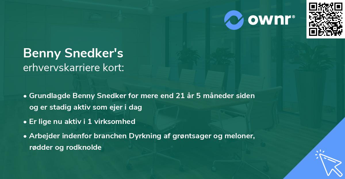 Benny Snedker's erhvervskarriere kort