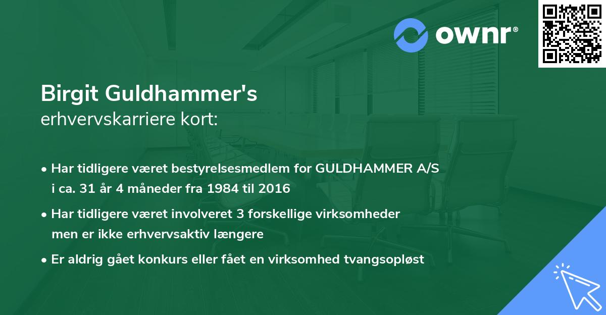 Birgit Guldhammer's erhvervskarriere kort