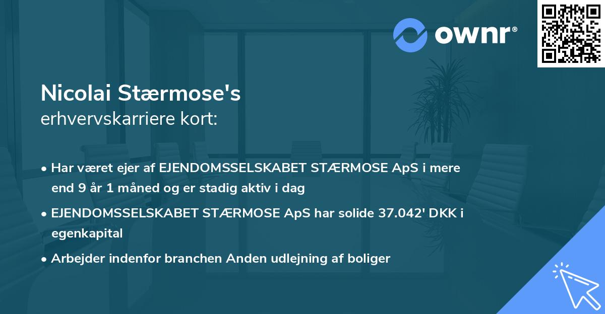 Nicolai Stærmose's erhvervskarriere kort