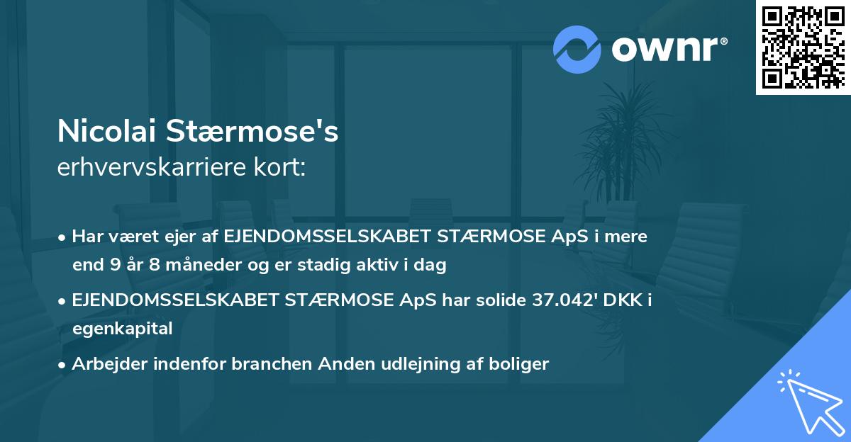 Nicolai Stærmose's erhvervskarriere kort