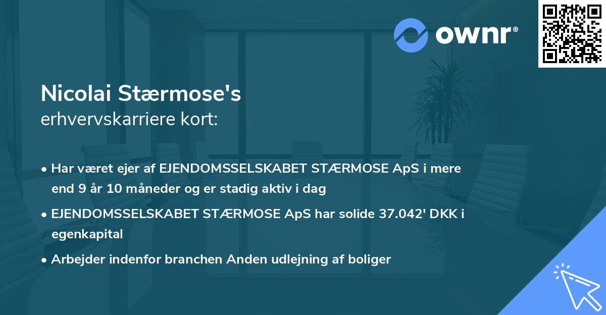 Nicolai Stærmose's erhvervskarriere kort