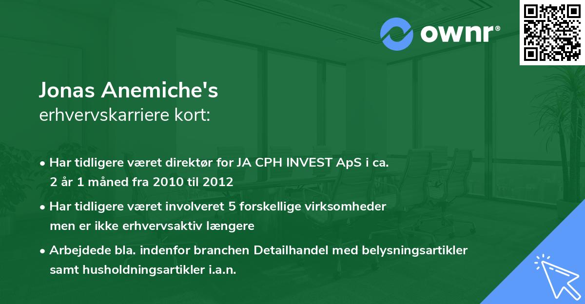 Jonas Anemiche's erhvervskarriere kort