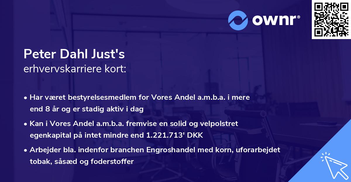 Peter Dahl Just's erhvervskarriere kort