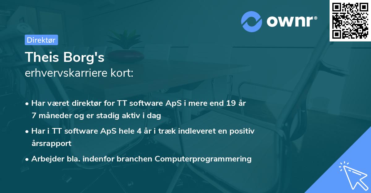 Theis Borg's erhvervskarriere kort