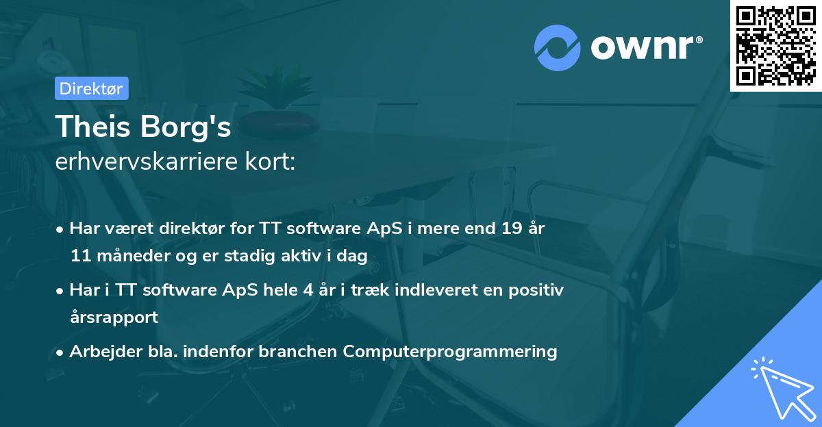 Theis Borg's erhvervskarriere kort