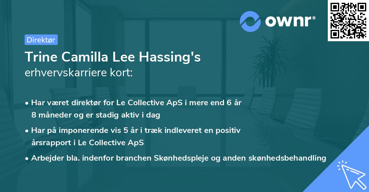 Trine Camilla Lee Hassing's erhvervskarriere kort