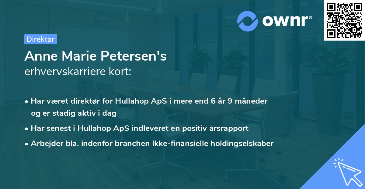 Anne Marie Petersen's erhvervskarriere kort