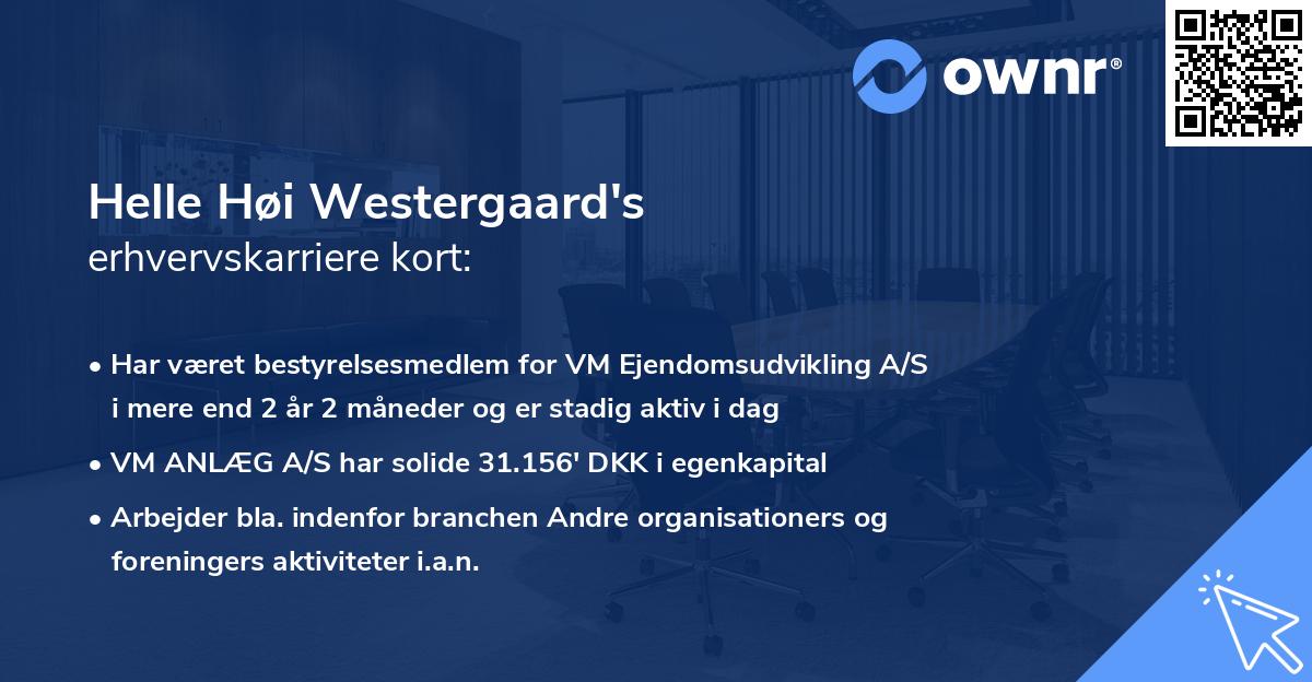 Helle Høi Westergaard's erhvervskarriere kort