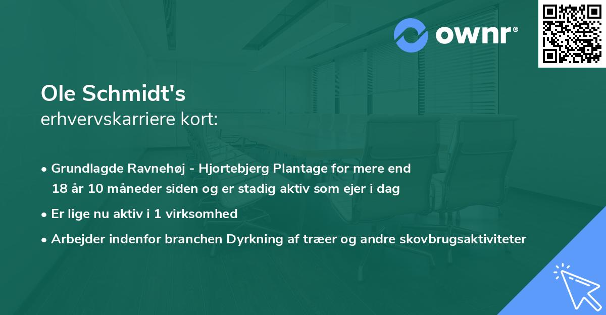 Ole Schmidt's erhvervskarriere kort