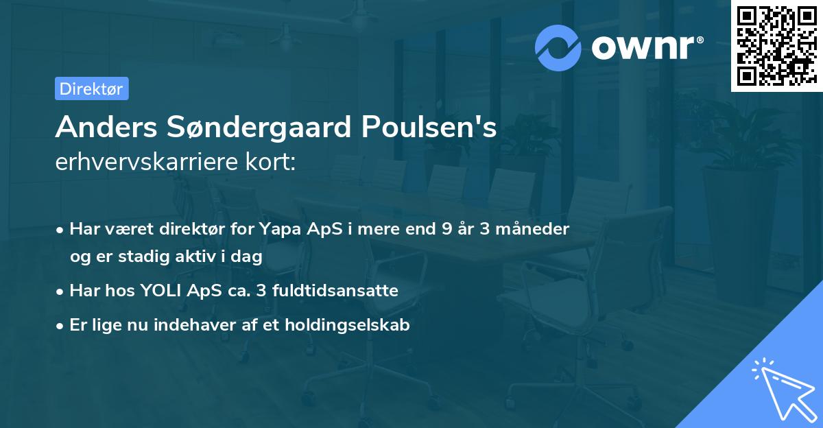 Anders Søndergaard Poulsen's erhvervskarriere kort