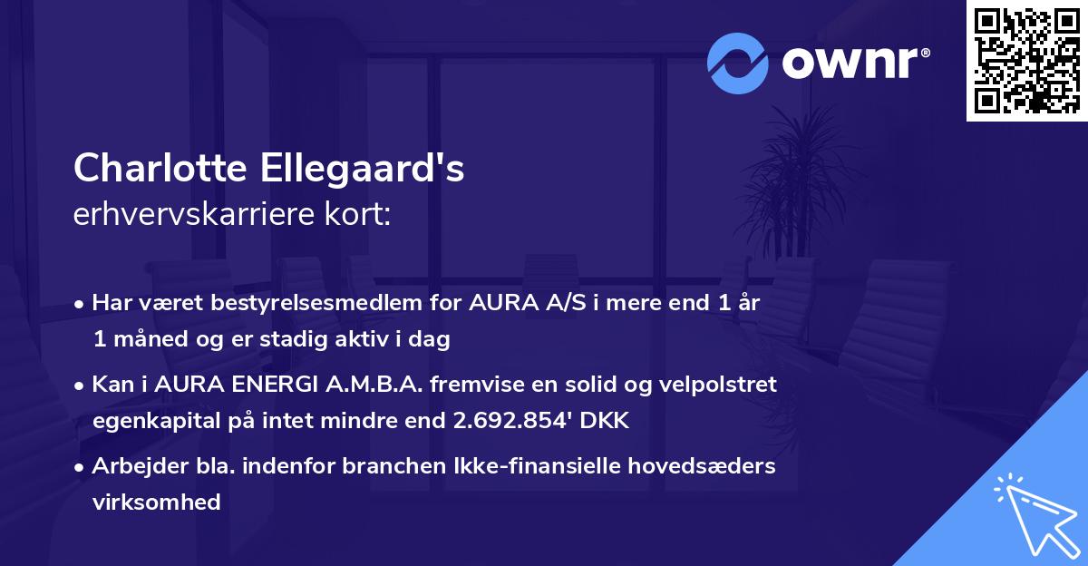 Charlotte Ellegaard's erhvervskarriere kort