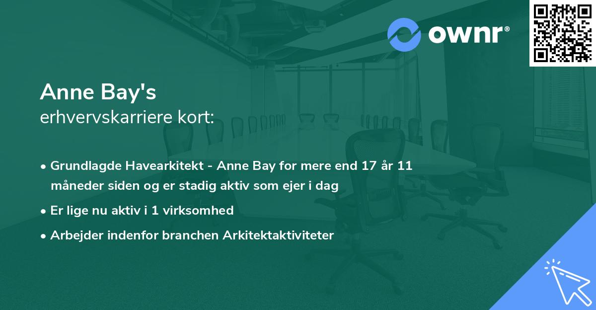 Anne Bay's erhvervskarriere kort