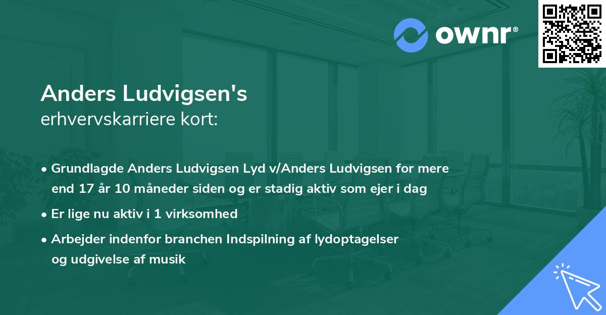 Anders Ludvigsen's erhvervskarriere kort