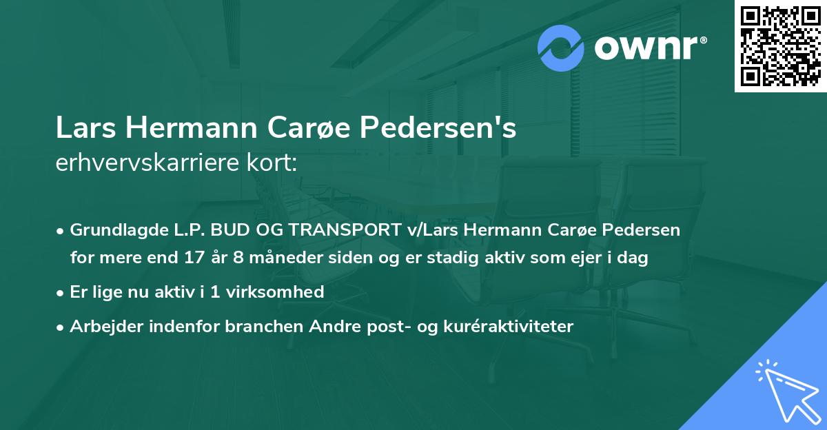 Lars Hermann Carøe Pedersen's erhvervskarriere kort