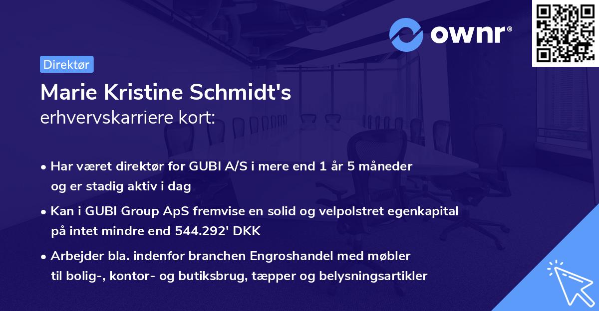 Marie Kristine Schmidt's erhvervskarriere kort