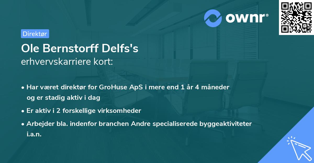 Ole Bernstorff Delfs's erhvervskarriere kort