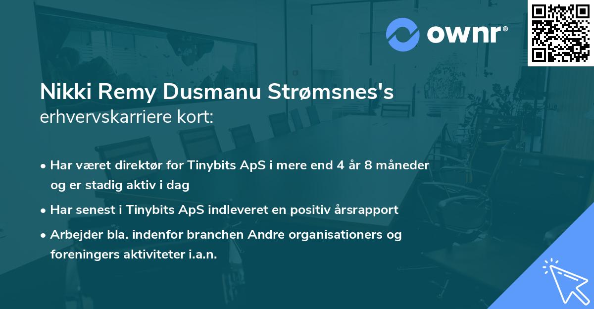 Nikki Remy Dusmanu Strømsnes's erhvervskarriere kort