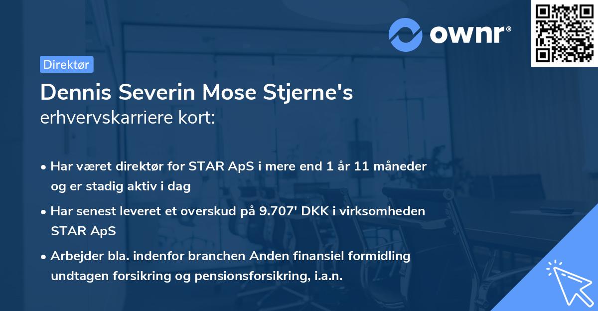 Dennis Severin Mose Stjerne's erhvervskarriere kort