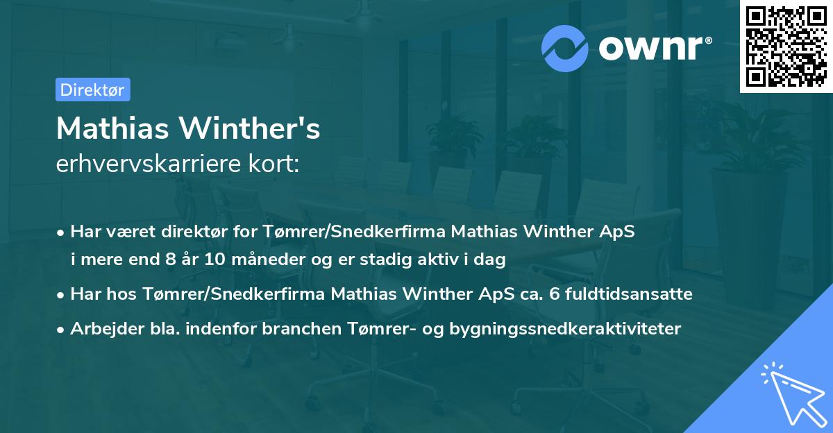 Mathias Winther's erhvervskarriere kort