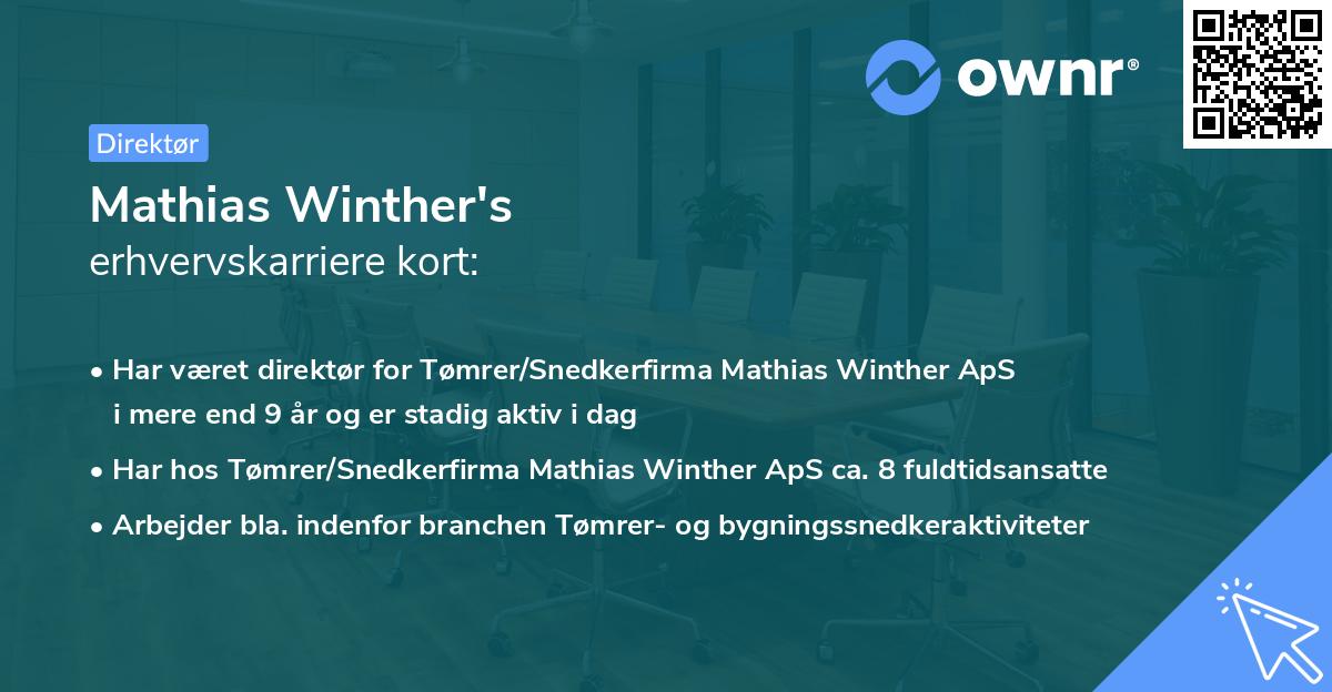 Mathias Winther's erhvervskarriere kort