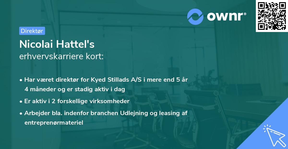 Nicolai Hattel's erhvervskarriere kort