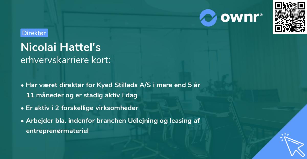 Nicolai Hattel's erhvervskarriere kort