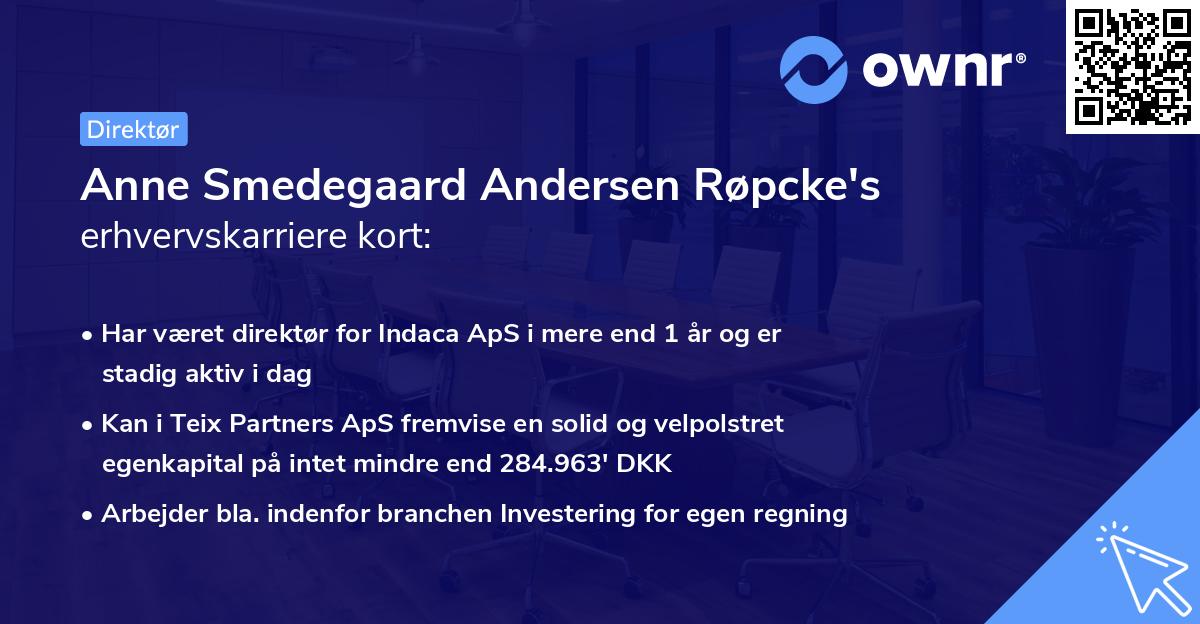 Anne Smedegaard Andersen Røpcke's erhvervskarriere kort