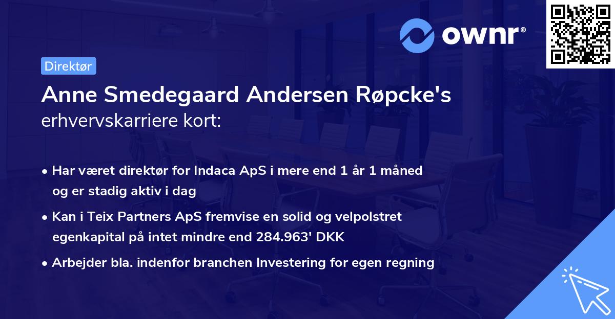 Anne Smedegaard Andersen Røpcke's erhvervskarriere kort