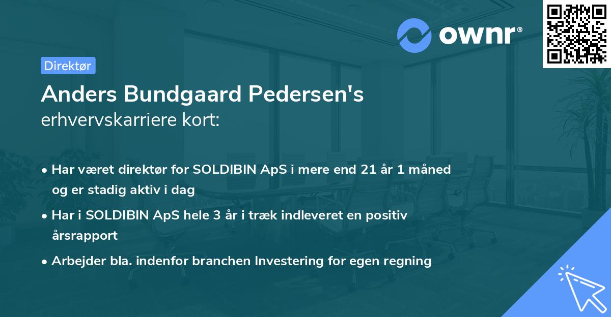 Anders Bundgaard Pedersen's erhvervskarriere kort
