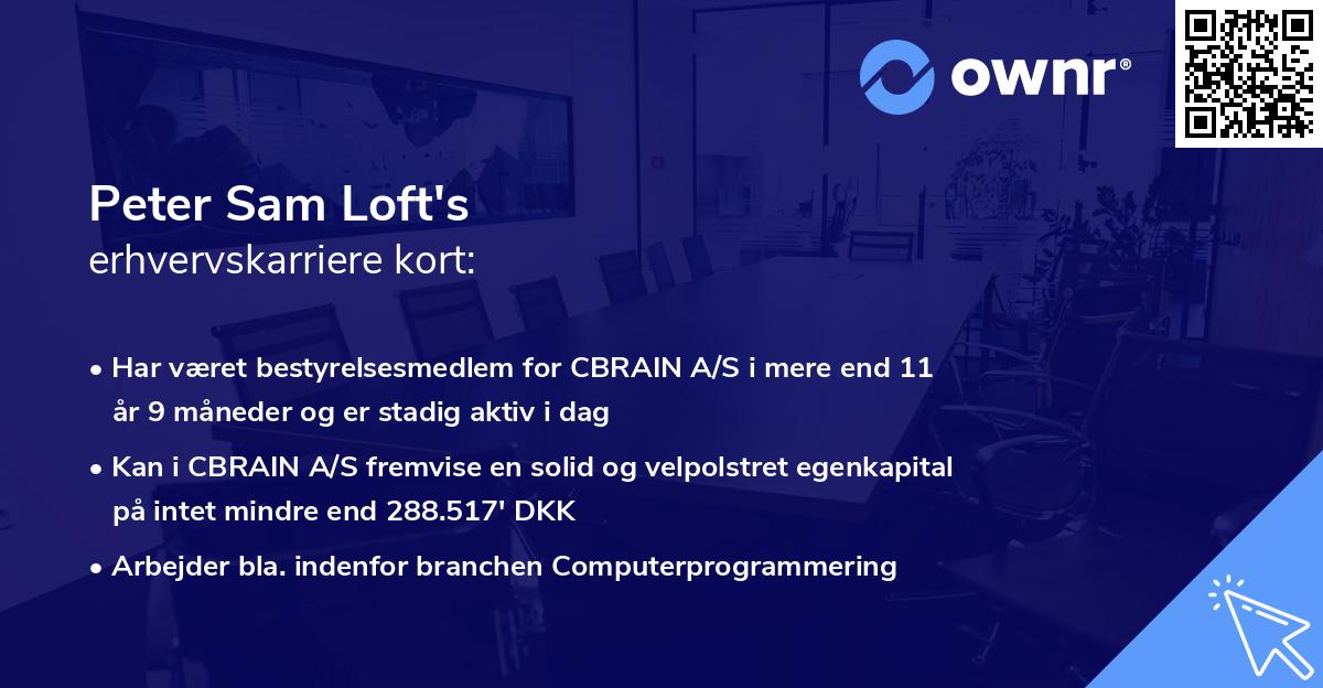 Peter Sam Loft's erhvervskarriere kort