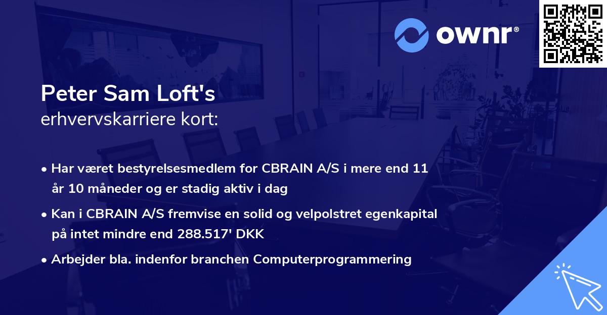 Peter Sam Loft's erhvervskarriere kort