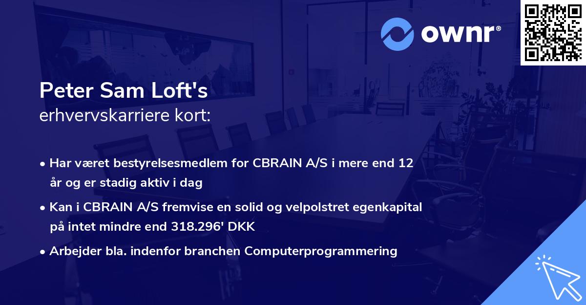 Peter Sam Loft's erhvervskarriere kort