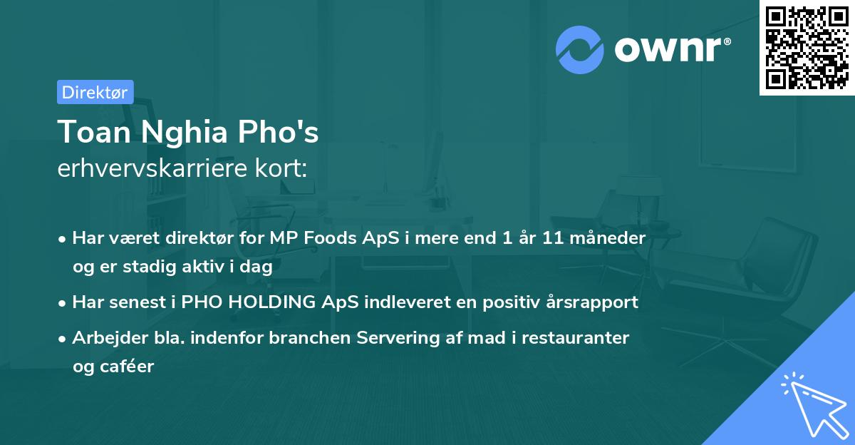 Toan Nghia Pho's erhvervskarriere kort