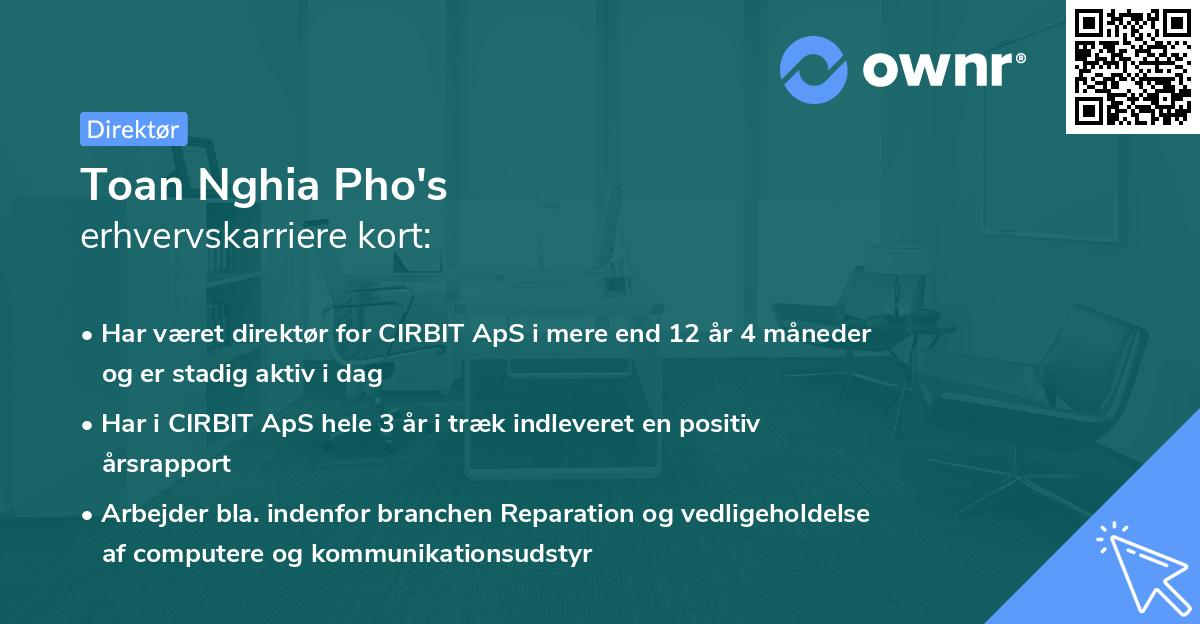 Toan Nghia Pho's erhvervskarriere kort