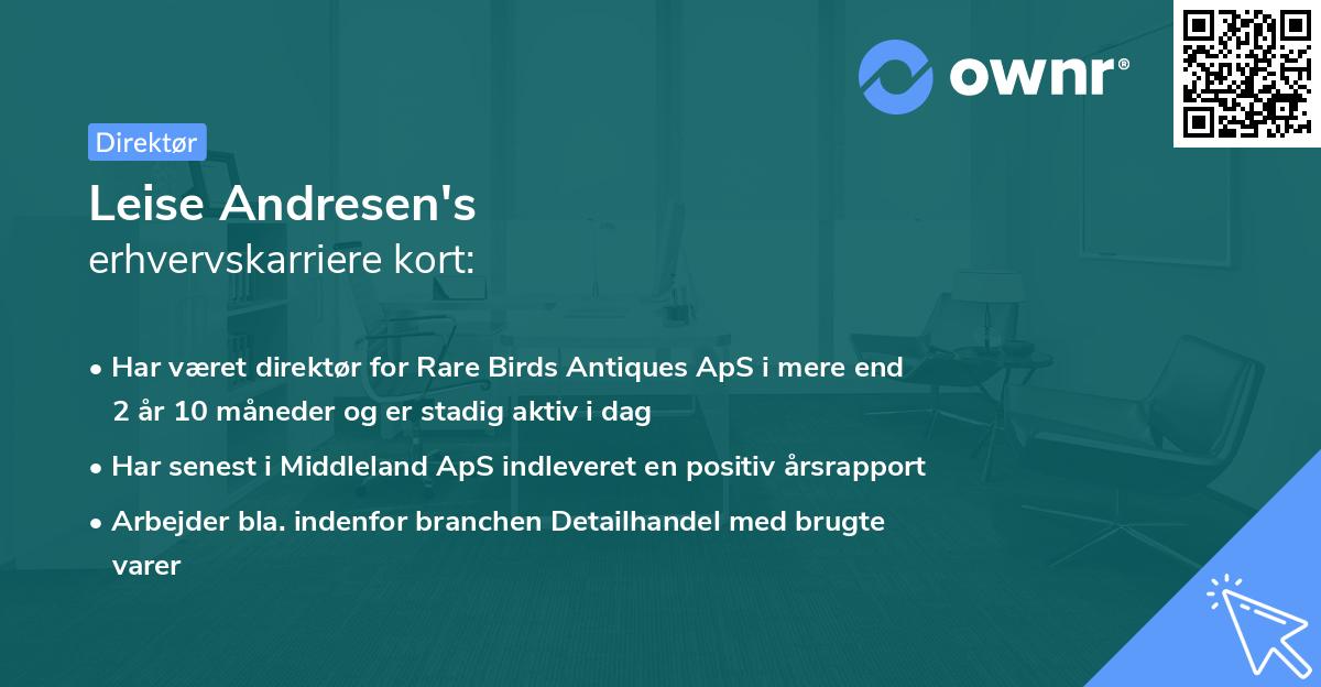 Leise Andresen's erhvervskarriere kort